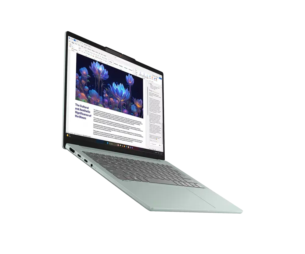 Lenovo IdeaPad Slim 5 14IPH11 (83S50015RK)