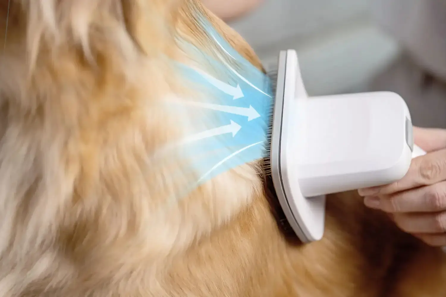 Petkit Pet Grooming Vacuum Kit 5-in-1 (LM4)