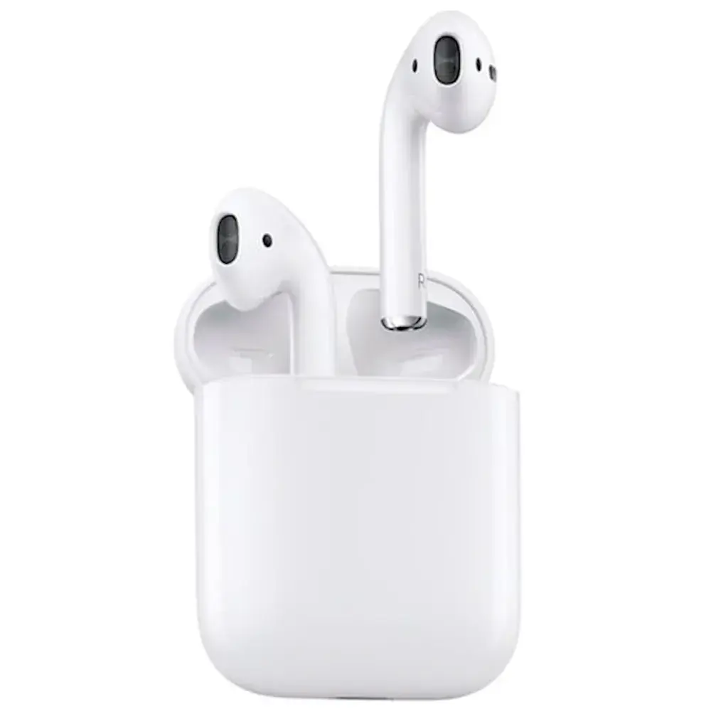 Apple AirPods 2 with Charging Case