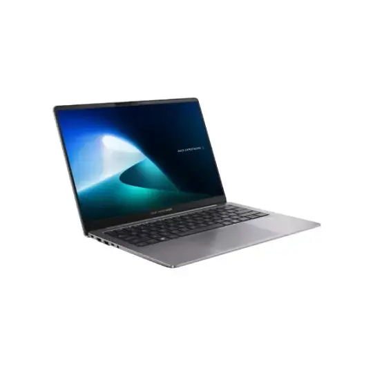 ASUS ExpertBook P5 P5405CSA-NZ0209 (90NX0861-M008B0)